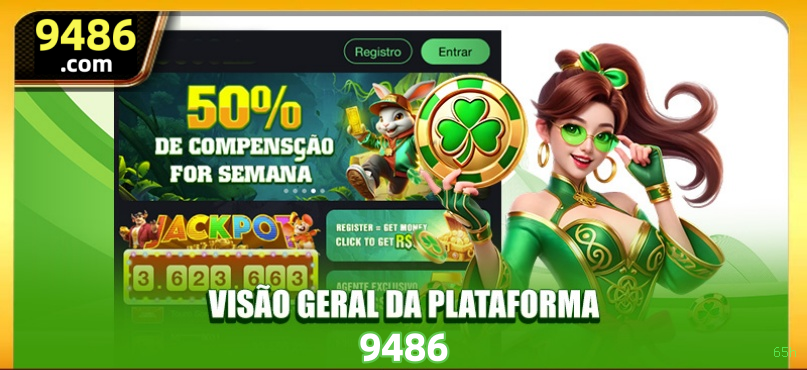 65h Provedores Premium